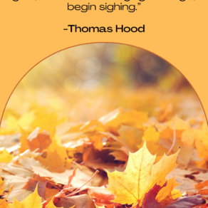 autumn quotes from books