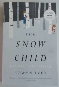 Winter books for adults