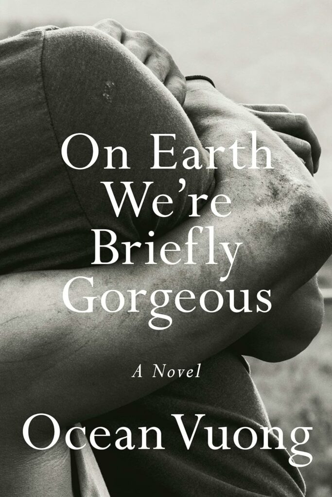 On Earth We're Briefly Gorgeous Summary